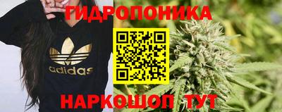стафф Шебекино