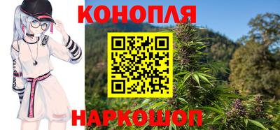 стафф Шебекино