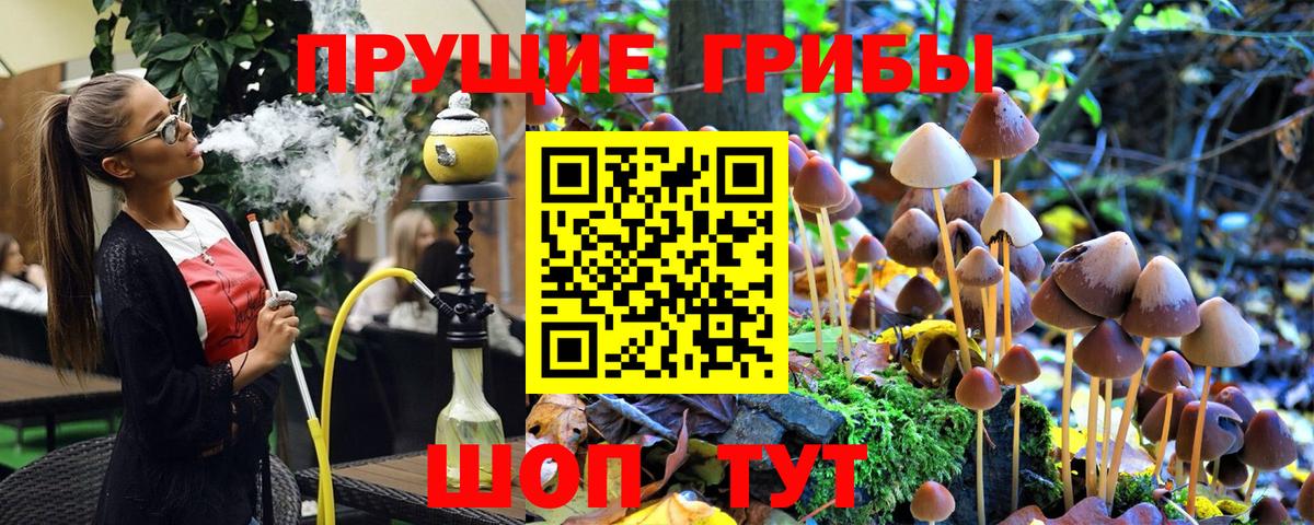 Сергиев Посад  наркошоп  Вход с VPN  Галлюциногенные грибы ЛСД  Галлюциногенные грибы мицелий 